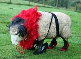 sheep-dress.jpg
